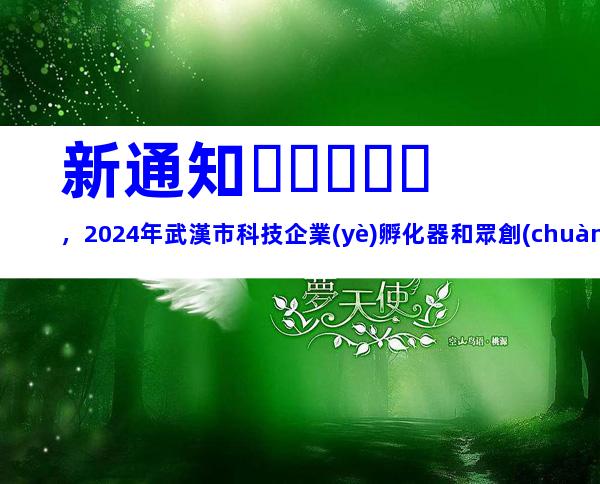 新通知，2024年武漢市科技企業(yè)孵化器和眾創(chuàng)空間申報條件、時間